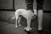 简单轰炸机
